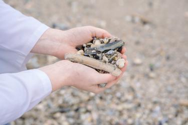  7. Taking the pulse of the ocean: measuring the current marine biodiversity state and how it impacts us
