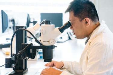 5. Challenges and opportunities in marine taxonomic research: from specimens to genes